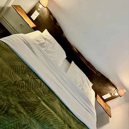 Eden, Au Dans La Cite Thermale ! Apartman *