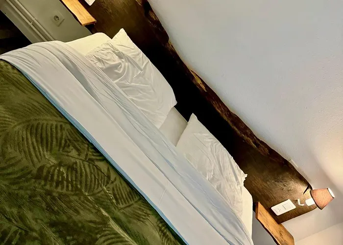 Eden, Au Dans La Cite Thermale ! Apartmán *